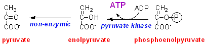 pyrkin