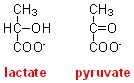 lact+pyr