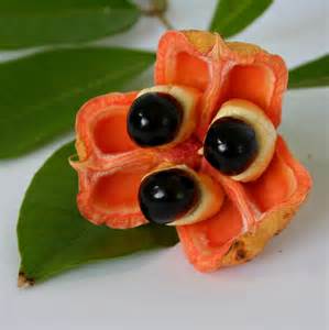 ackee fruit
