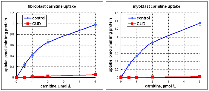 carnitine uptake