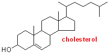 cholesterol