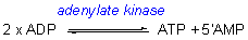 kinase
