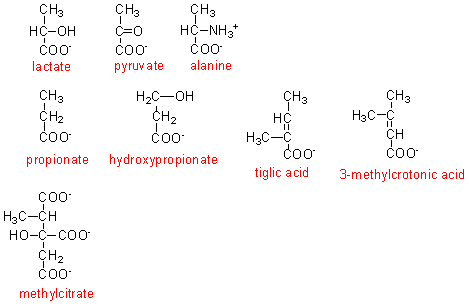 urine