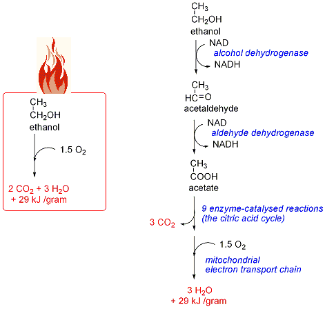 EtOH oxidation
